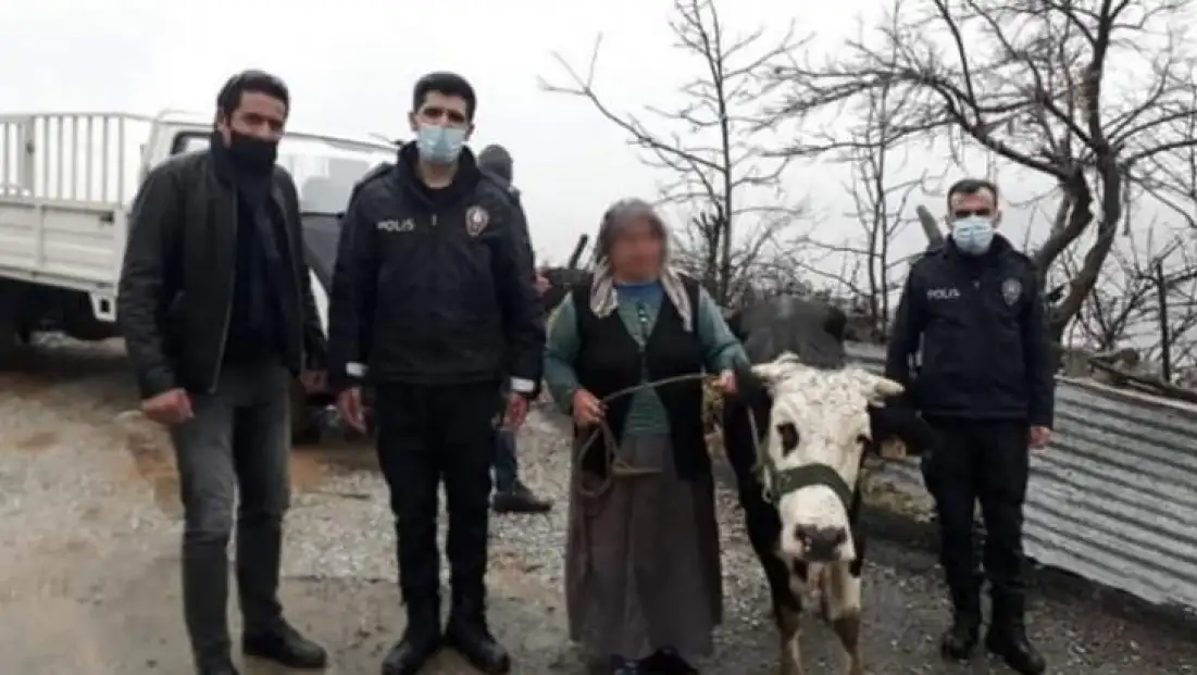 Çalınan inek Malatya Merkez'de bulundu