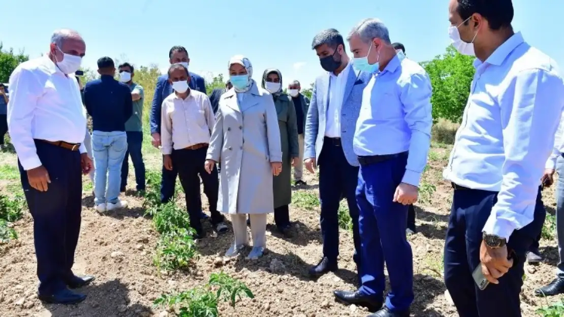 Çalık ve Çınar çiftçileri ziyâret ettiler!