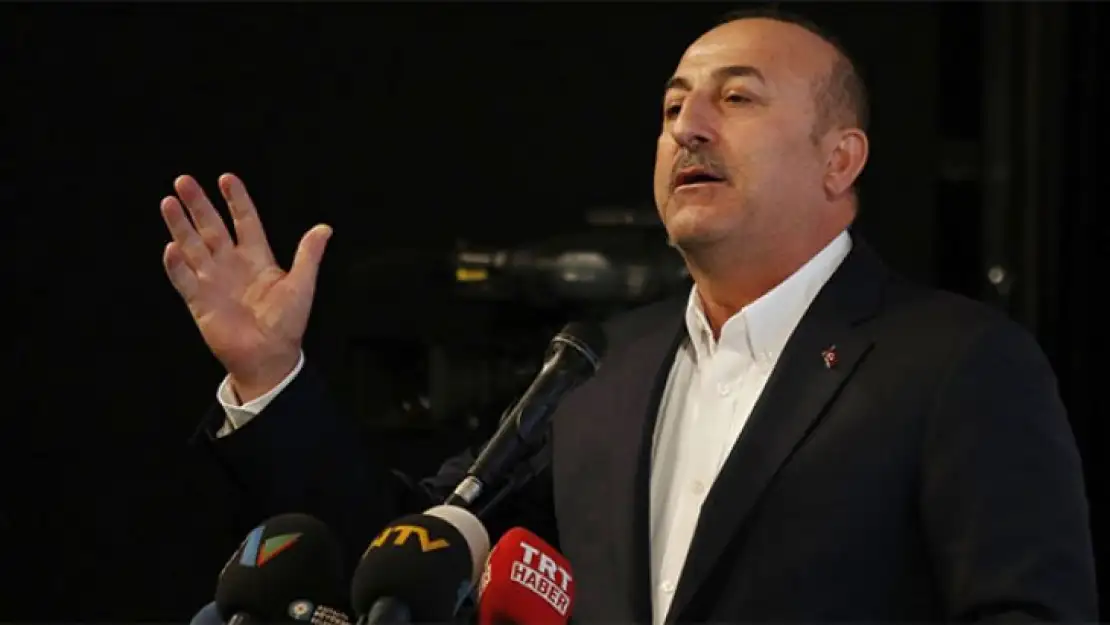 Dışişleri Bakanı Çavuşoğlu: 'Cezayir'in istikrarı Türkiye için önemlidir'