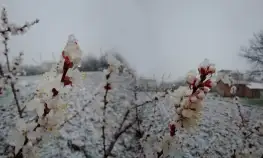 Malatyaya Mart Ayında Kar Yağışı