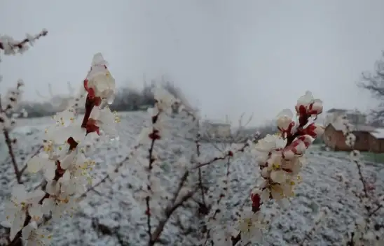 Malatyaya Mart Ayında Kar Yağışı