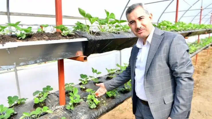En Önemli Proje Yeşil Gıda Seracılık