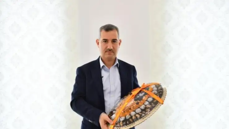 Kayısı Ye :) 2